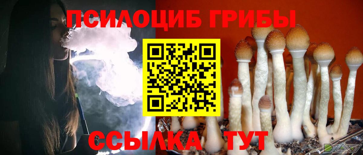 Псилоцибиновые грибы ЛСД Кириши